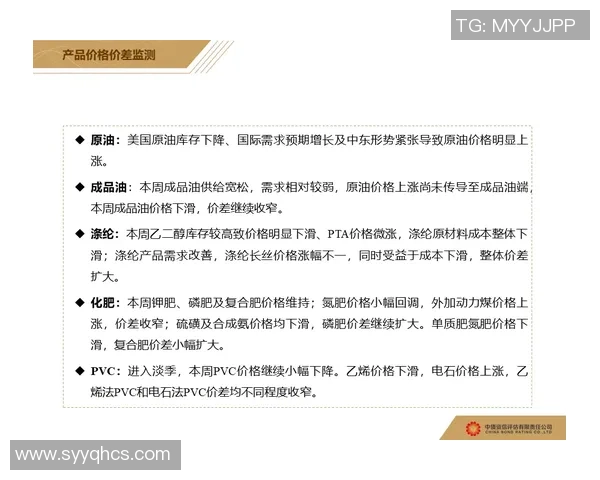 南京滑板队协作能力分析与表现评估研究报告