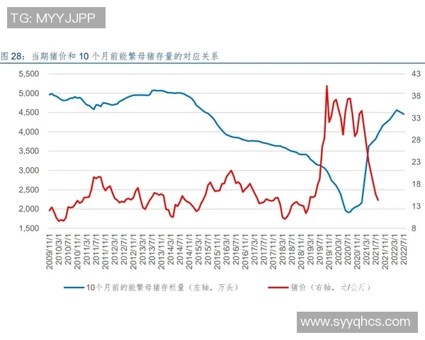 成都排球队运营分析：成功经验与不足之处的深度探讨