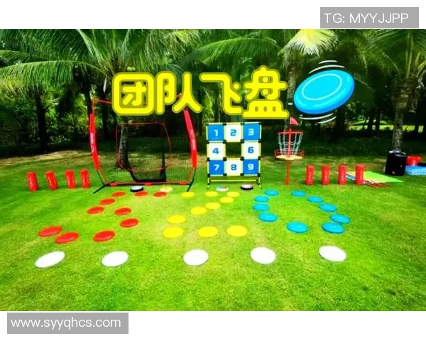 飞盘盛宴:深入了解西安飞盘队的实力与魅力 飞盘盛宴:深入了解西安飞盘队的实力与魅力