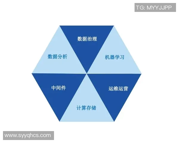 数据分析揭示WE技术表现的潜力与挑战探讨
